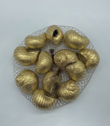 Krāsoti gliemežvāki