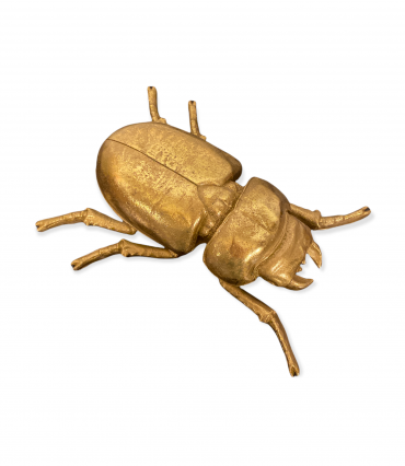 Vabole