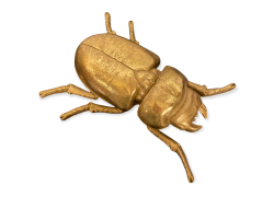 Dekors vabole