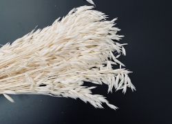 Sausie materiāli floristikai