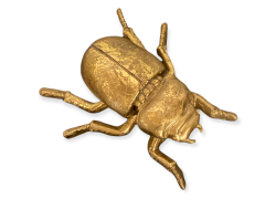 Dekors vabole